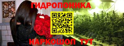 стафф Усть-Джегута
